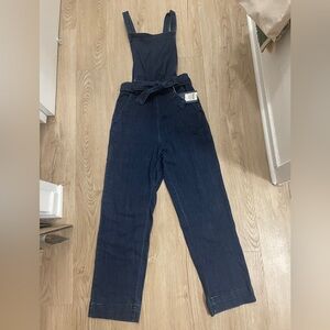 Target Universal Thread Jean Jumpsuit